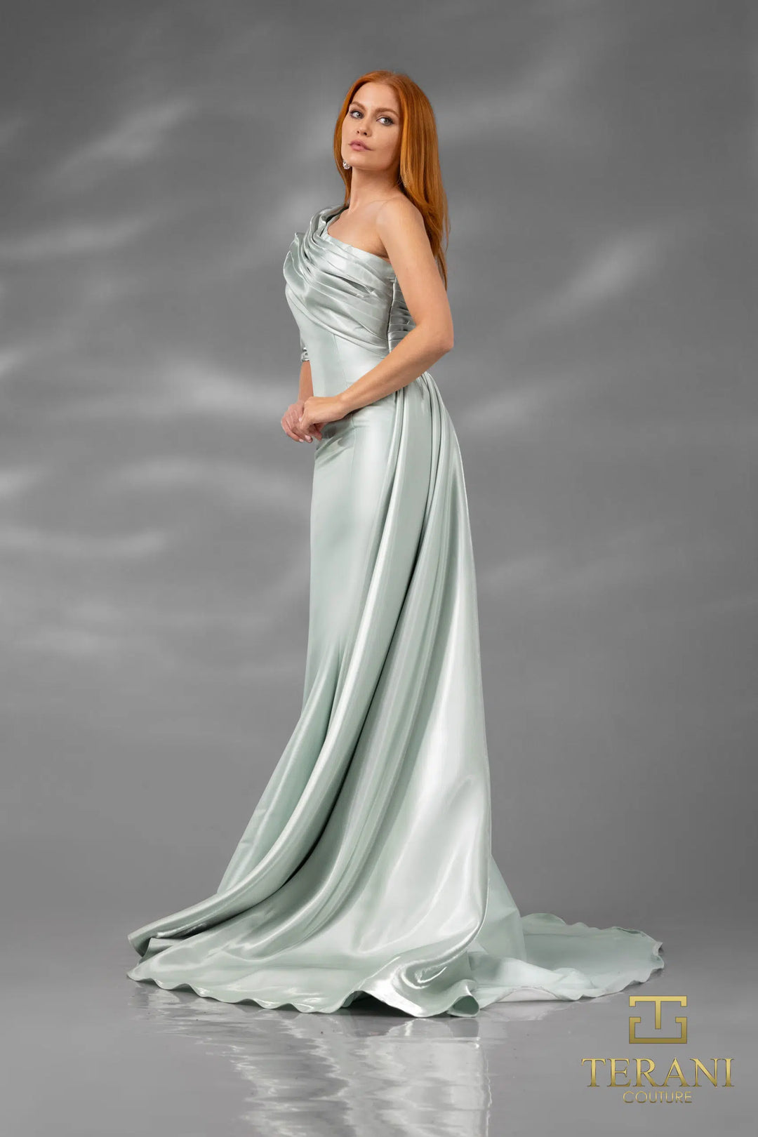 Terani 251E4205 Dress - FOSTANI.com