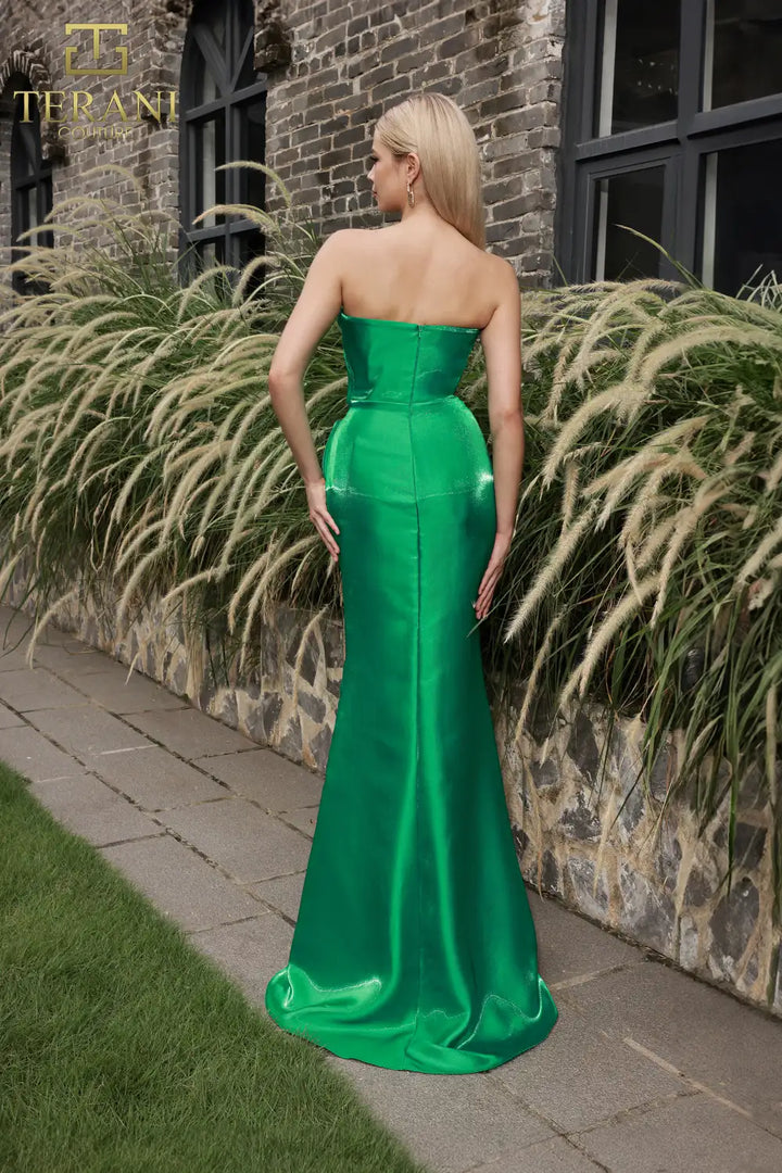 TERANI 251E4231 DRESS - FOSTANI.com