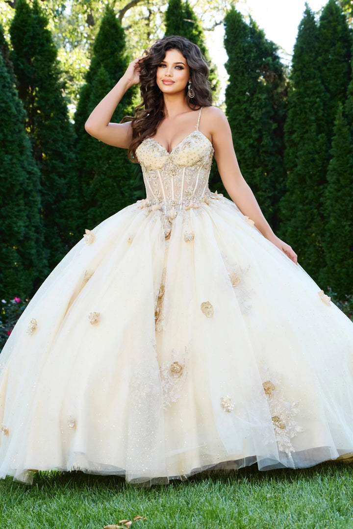 Jovani Q44559 Embellished Corset Dress with Floral Appliques