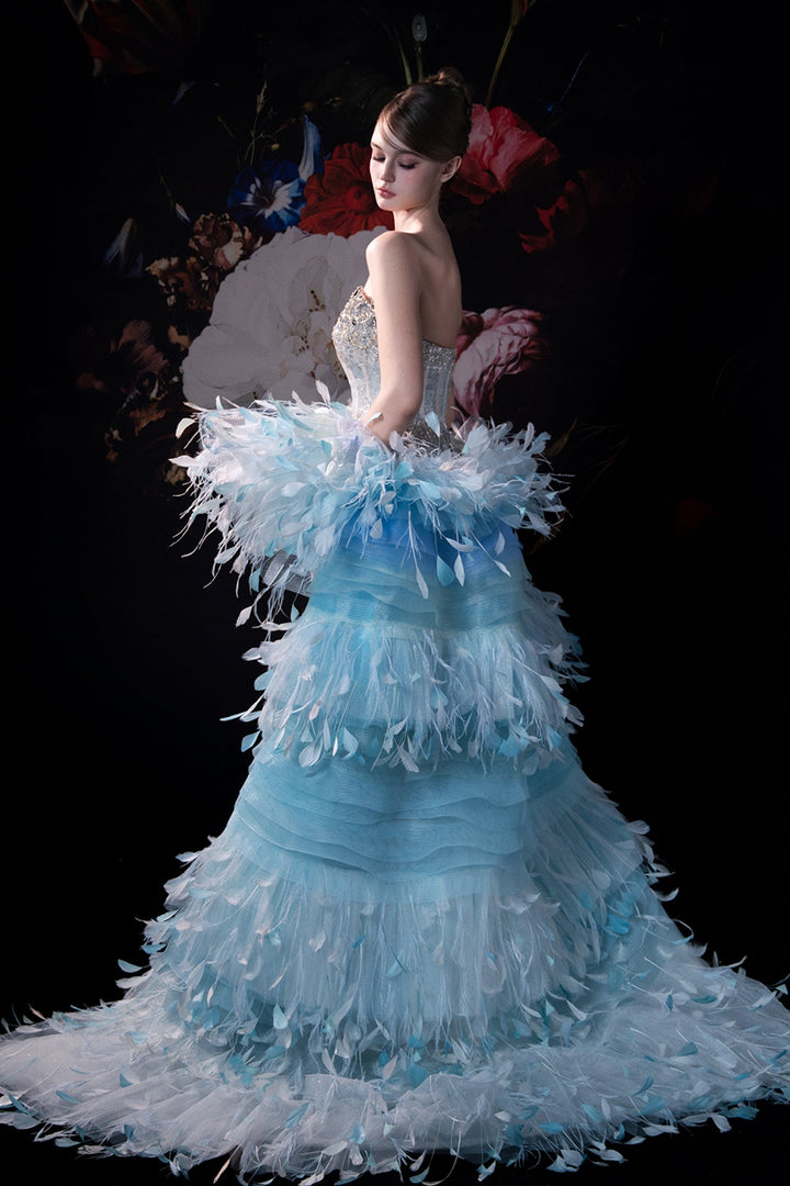 Sculpted Top with Feather Cape - FOSTANI.com