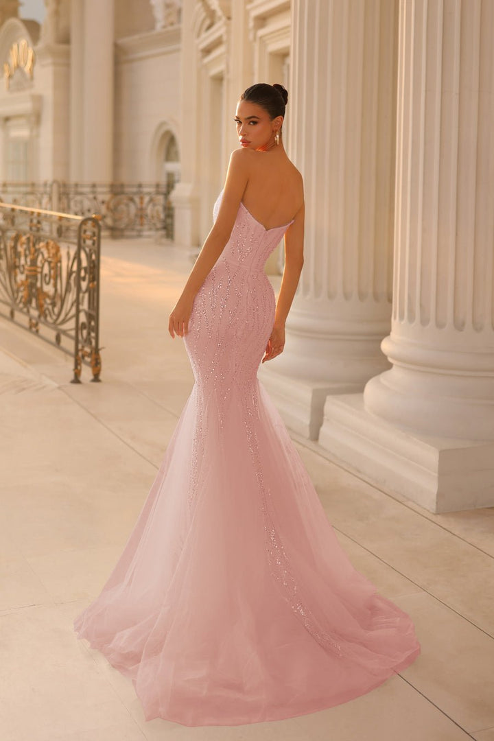 Tina Holly TK807 Dress - FOSTANI.com