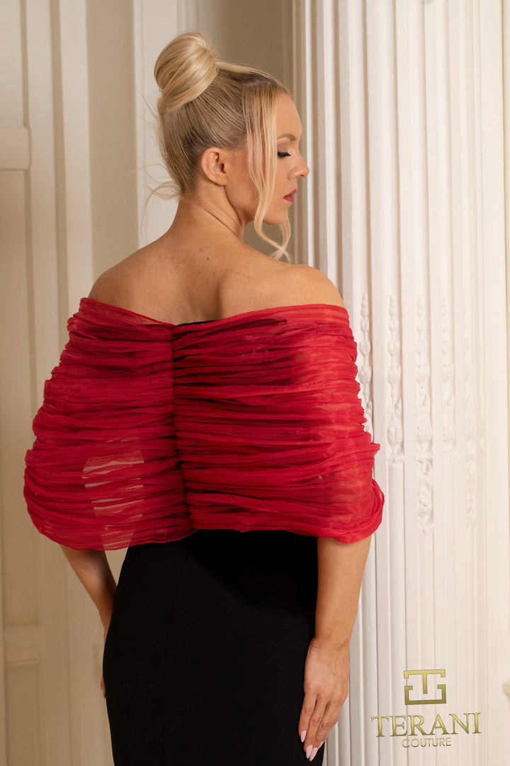 Terani 252E5181 Dress - FOSTANI.com