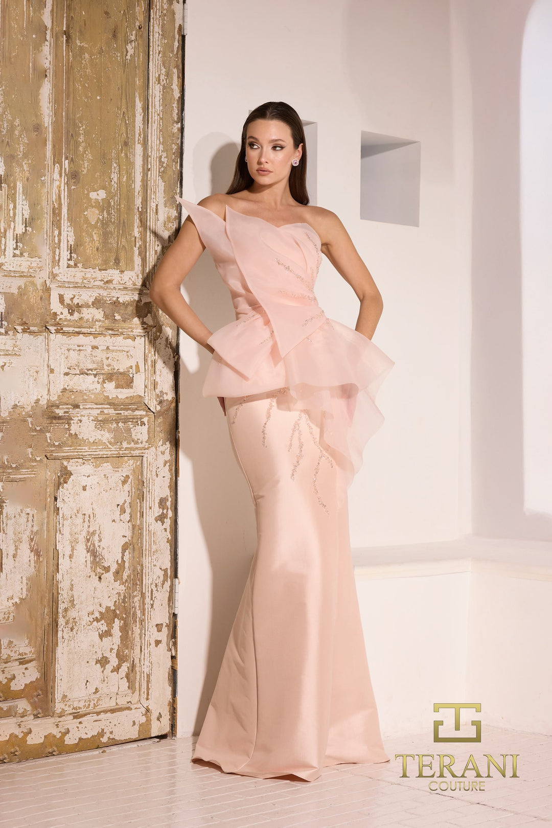 Terani 252E5550 Dress - FOSTANI.com