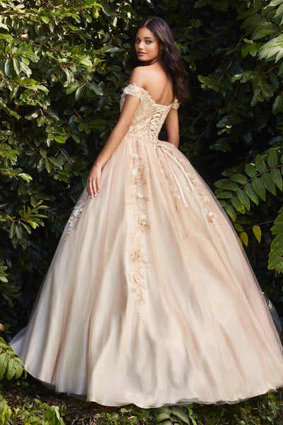 Cinderella Divine  CD0185 Dress - FOSTANI.com
