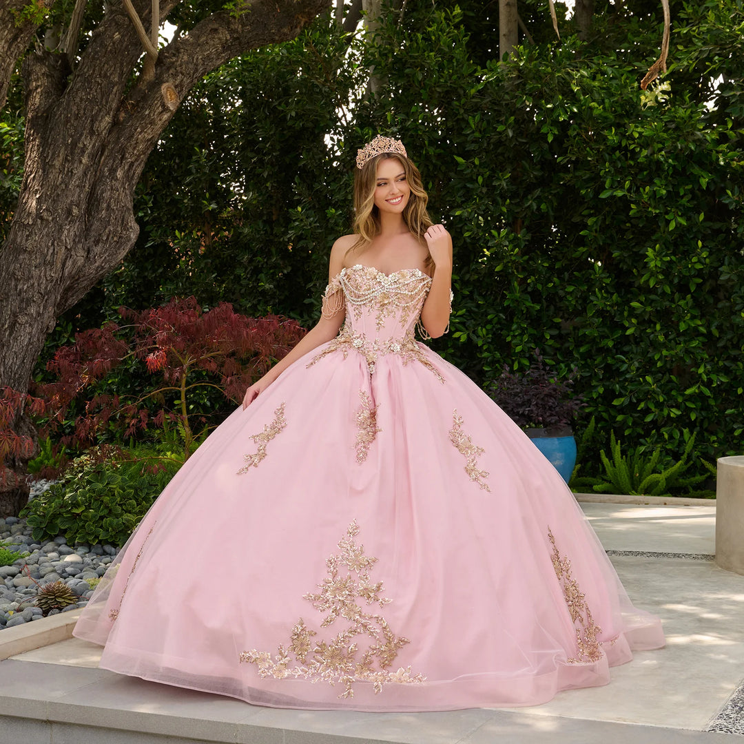 GLS Collective GL3849 3D floral applique quinceanera ball gown full front view