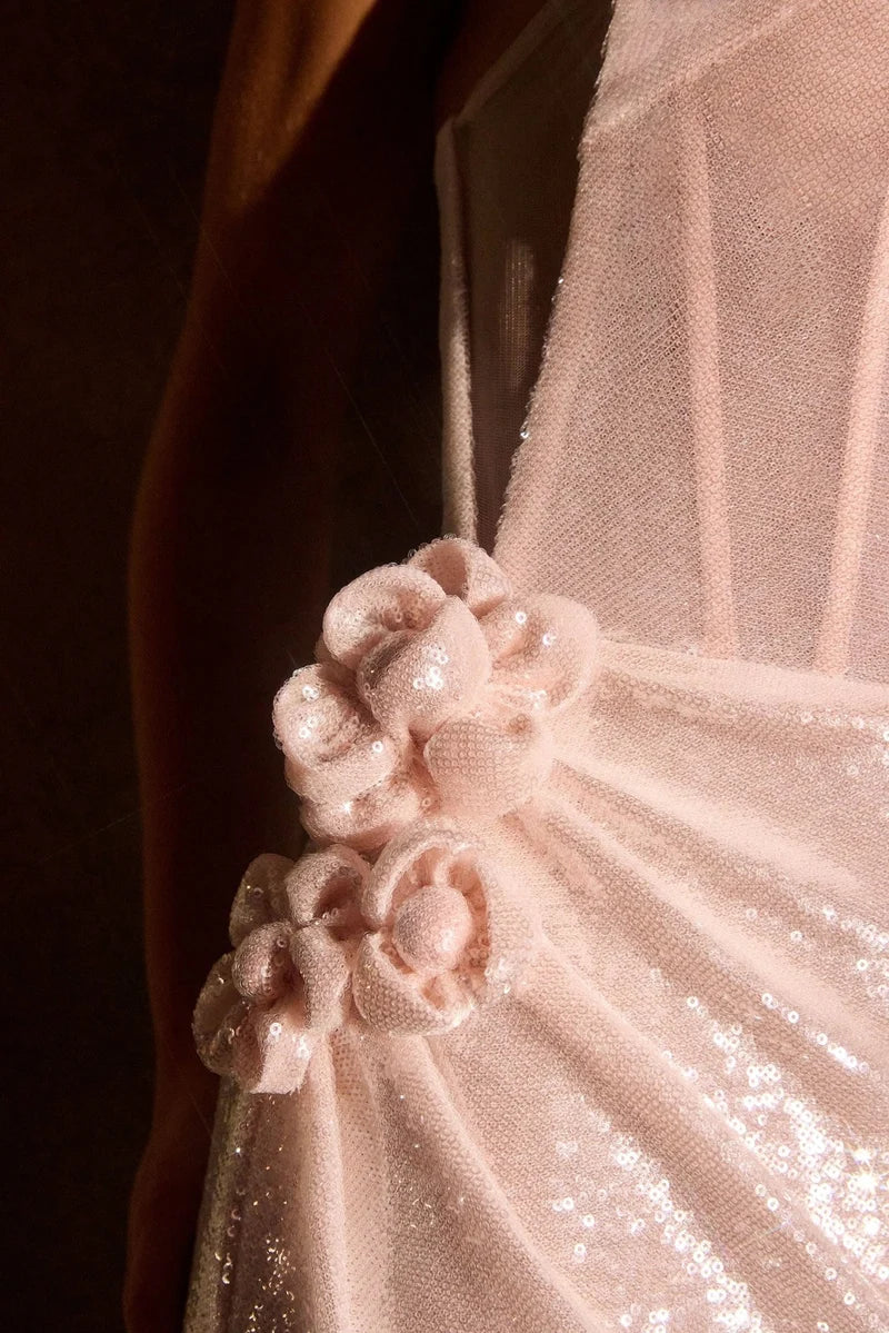Ladivine J905 Sequin Rosette Corset Prom 2026 Dress Size 2 only
