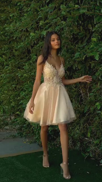 Ladivine  CD0189 Dress